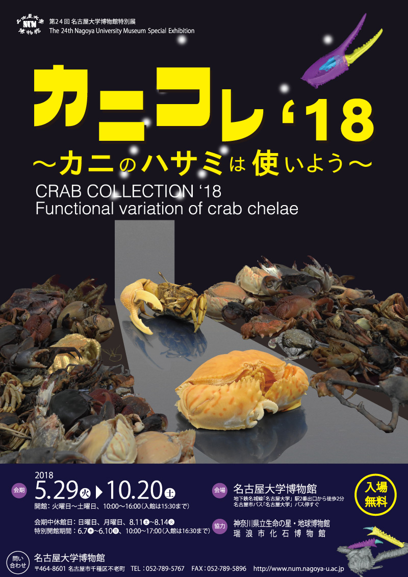 第24回名古屋大学博物館特別展　カニコレ'18 - カニのハサミは使いよう