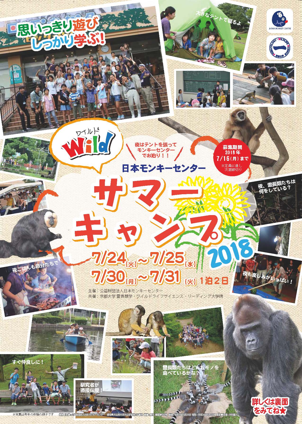 ワイルドサマーキャンプ2018