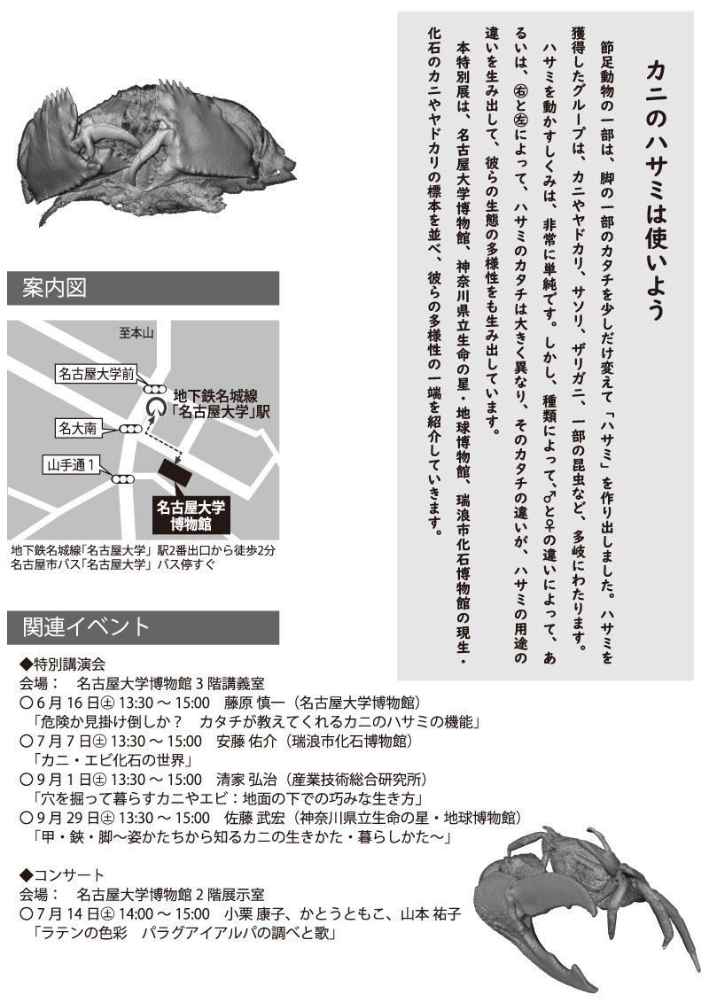名古屋大学博物館 特別講演会 甲 鋏 脚 姿かたち から知るカニの生き方 暮らし方 あいちサイエンス コミュニケーション ネットワーク 地域科学祭 あいちサイエンスフェスティバル を運営