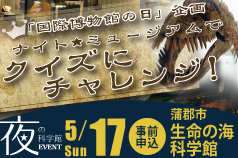 「国際博物館の日」企画　「ナイト★ミュージアムでクイズにチャレンジ！」