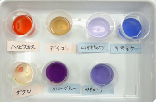 小学校中学年向け定例講座（３・４年生） かがく教室　色が変化する水 ～魔女の料理～