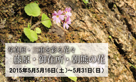 写真展・三重を彩る花々　藤原・御在所・朝熊の花