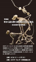 特別展「骨から読み解く霊長類のくらしと進化　－霊長類骨格博物館－」