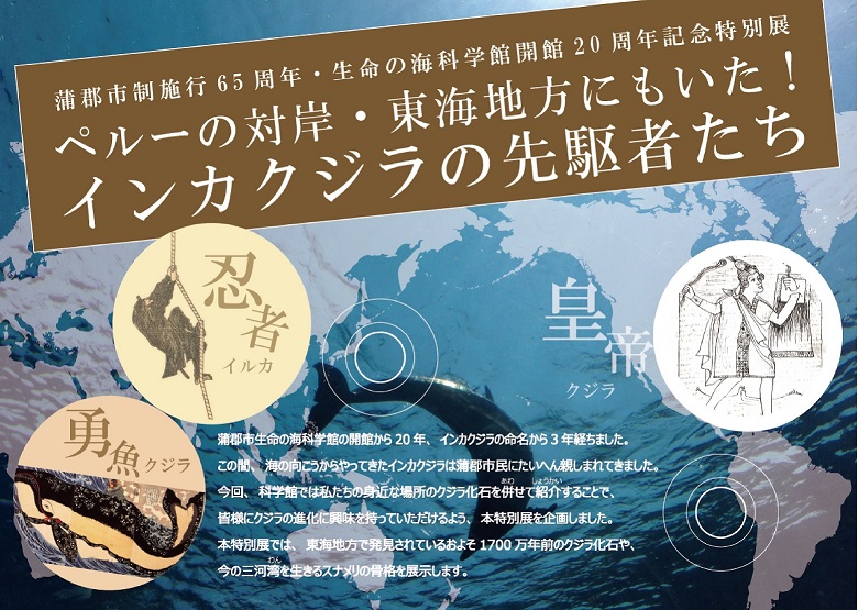 ペルーの対岸・東海地方にもいた！インカクジラの先駆者たち