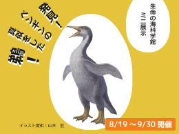 発見！ペンギンの真似をした鵜！