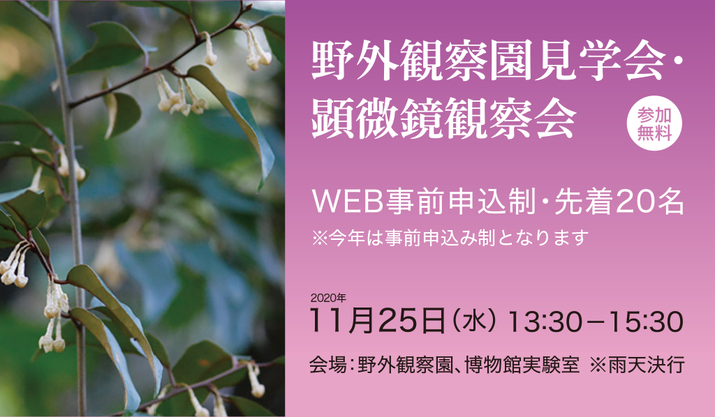 野外観察園見学会・顕微鏡観察会