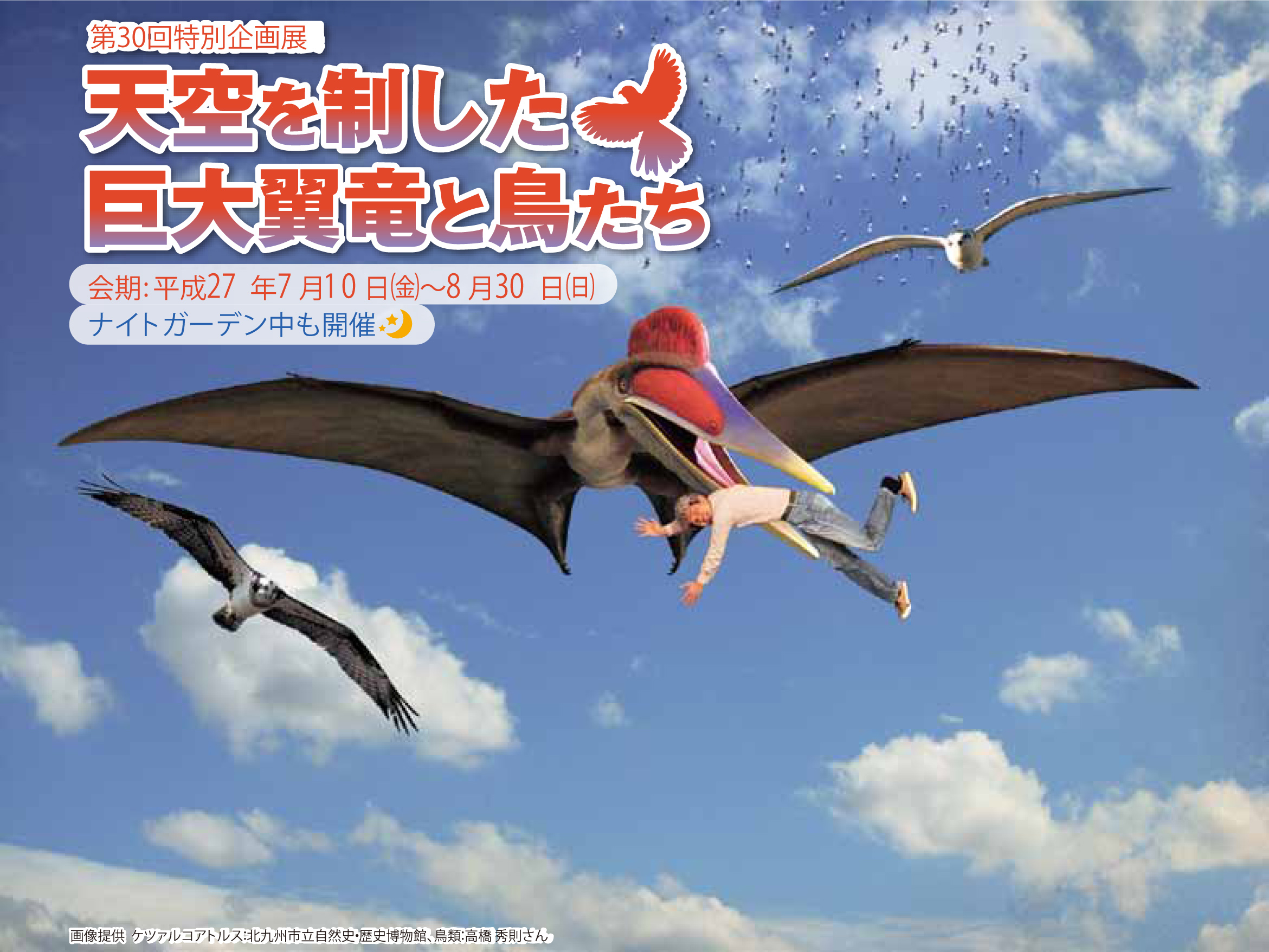 特別企画展「天空を制した巨大翼竜と鳥たち」