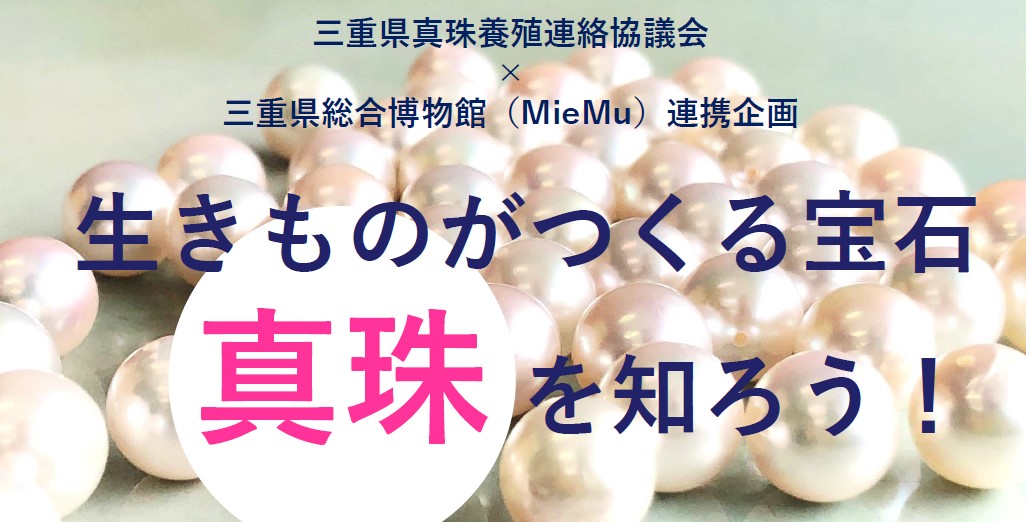 三重県真珠養殖連絡協議会×三重県総合博物館（MieMu）連携企画「生きものがつくる宝石“真珠”を知ろう」