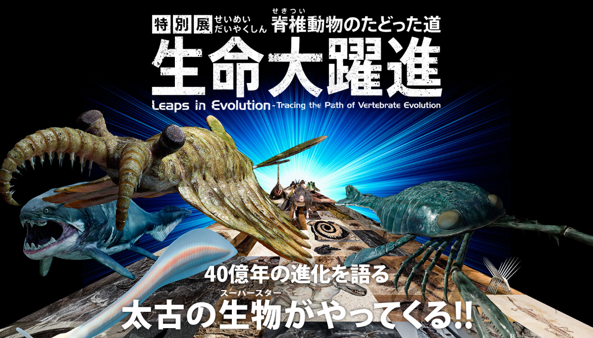 特別展「生命大躍進～脊椎動物のたどった道」