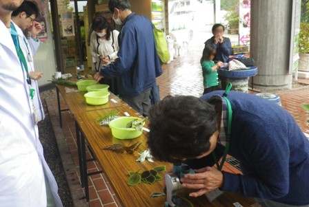 ひがしやま植物実験室