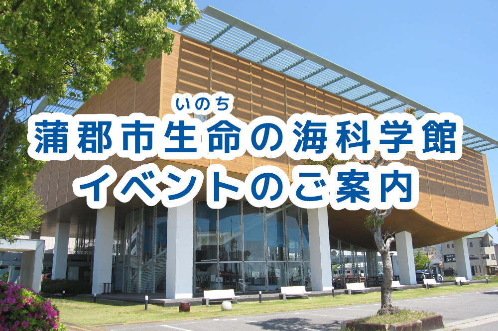 生命の海科学館まつり　花火の万華鏡