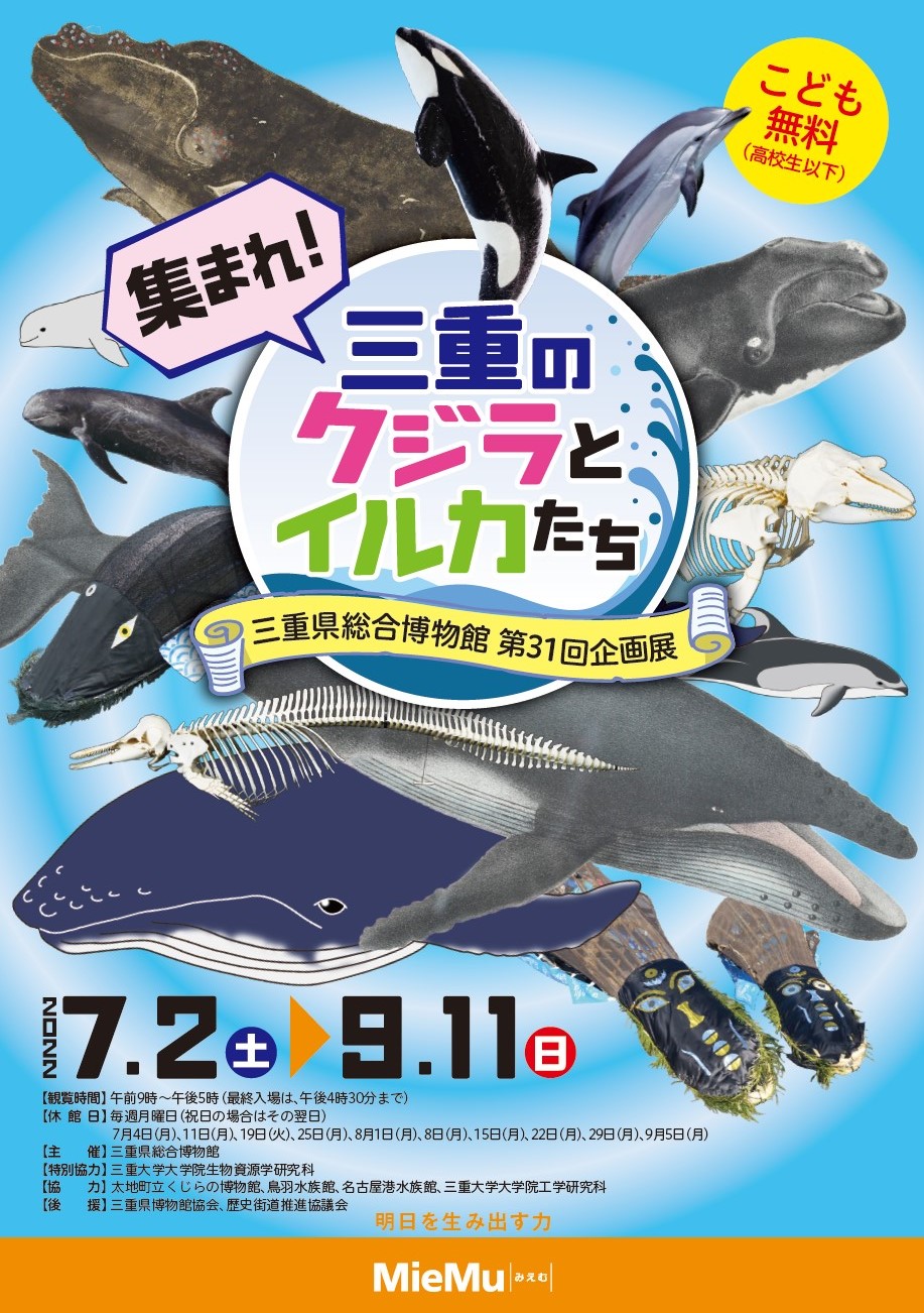 第31回企画展　集まれ！三重のクジラとイルカたち