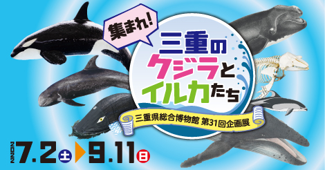 企画展関連講演会「三重のクジラとイルカたち～出会いから今～」