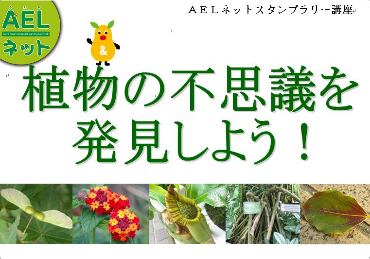 クイズラリー「植物の不思議を発見しよう！」