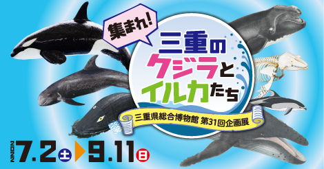 MieMuでクジラを学ぼう！夏休み特別企画