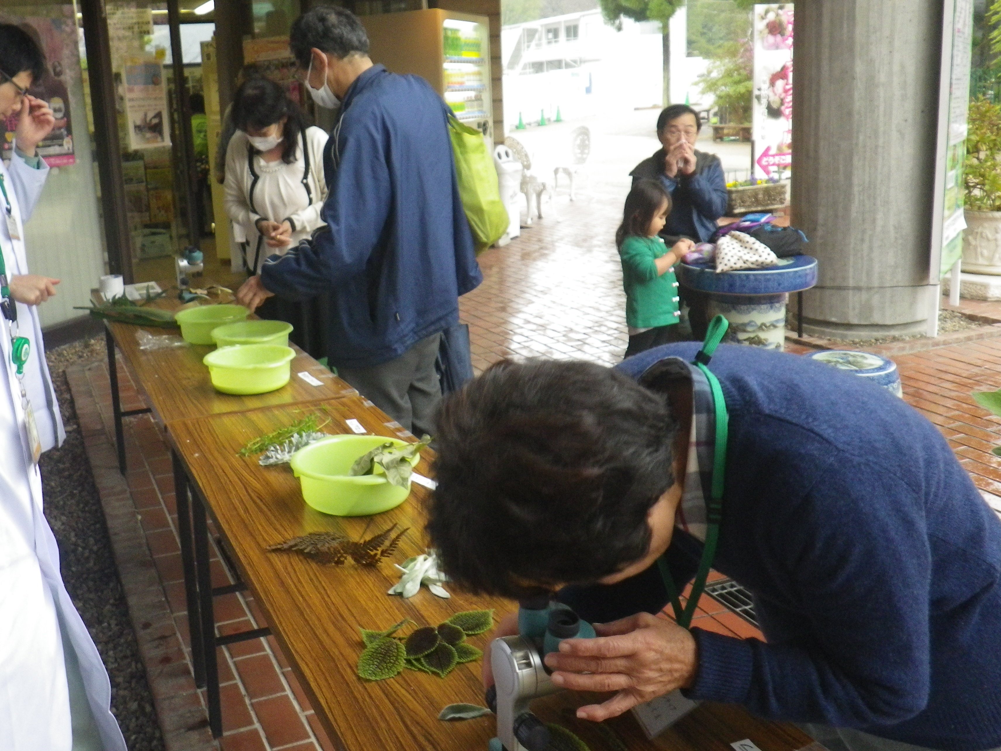 顕微鏡で覗く植物の世界