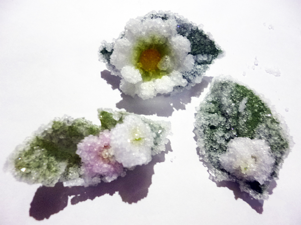キラキラ結晶花づくり