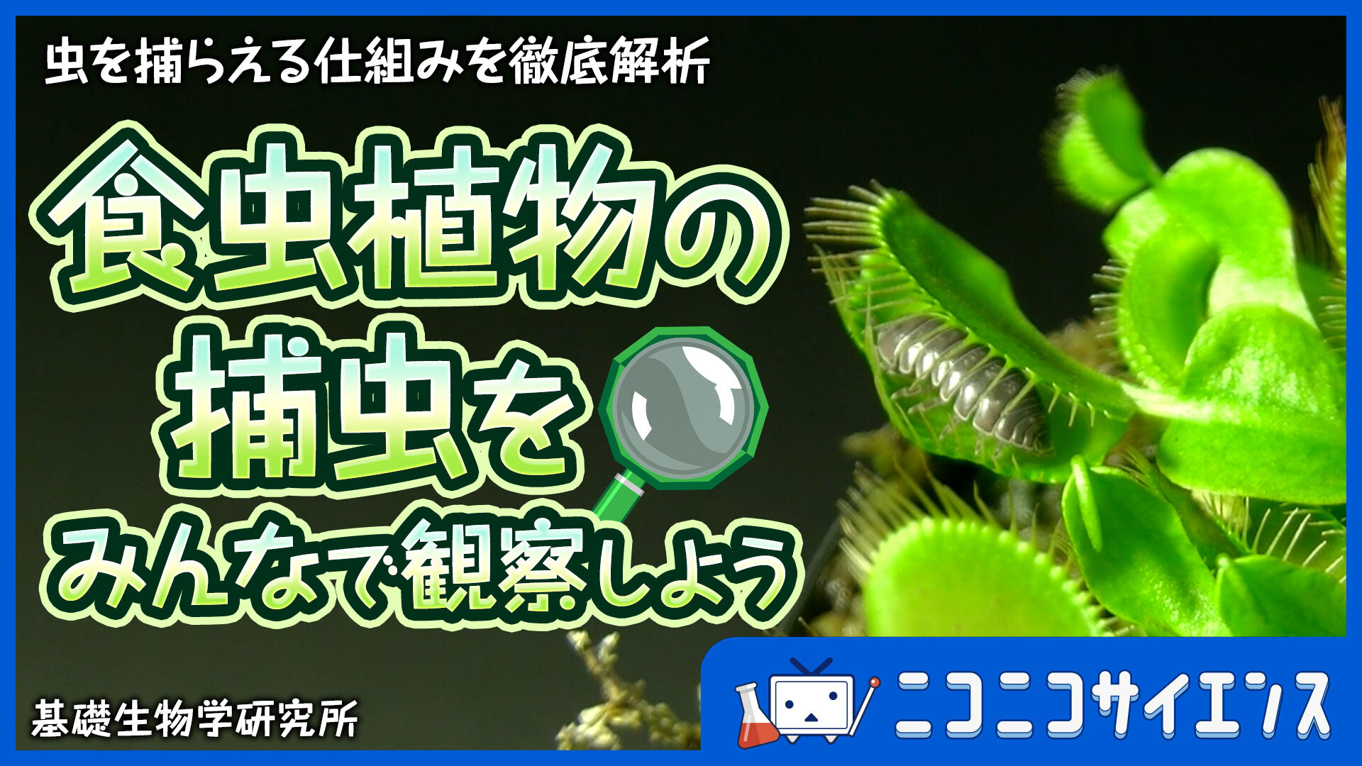 食虫植物の捕虫をみんなで観察しよう！～虫を捕らえる仕組みを徹底解析～