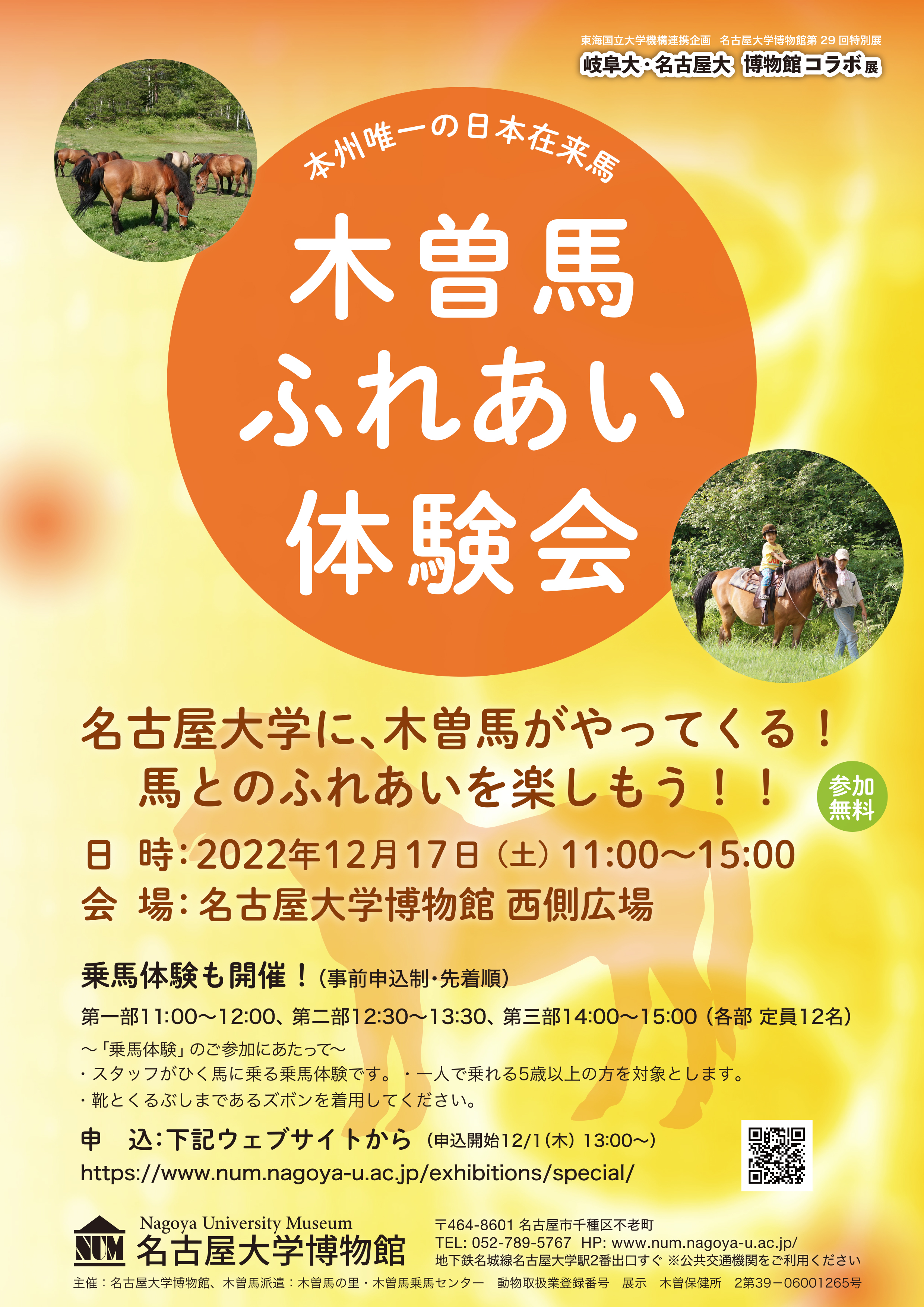 名大博物館第29回特別展　関連イベント「木曽馬ふれあい体験会」