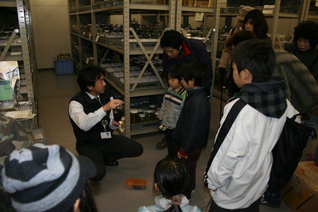 収蔵庫たんけん「魚類標本」