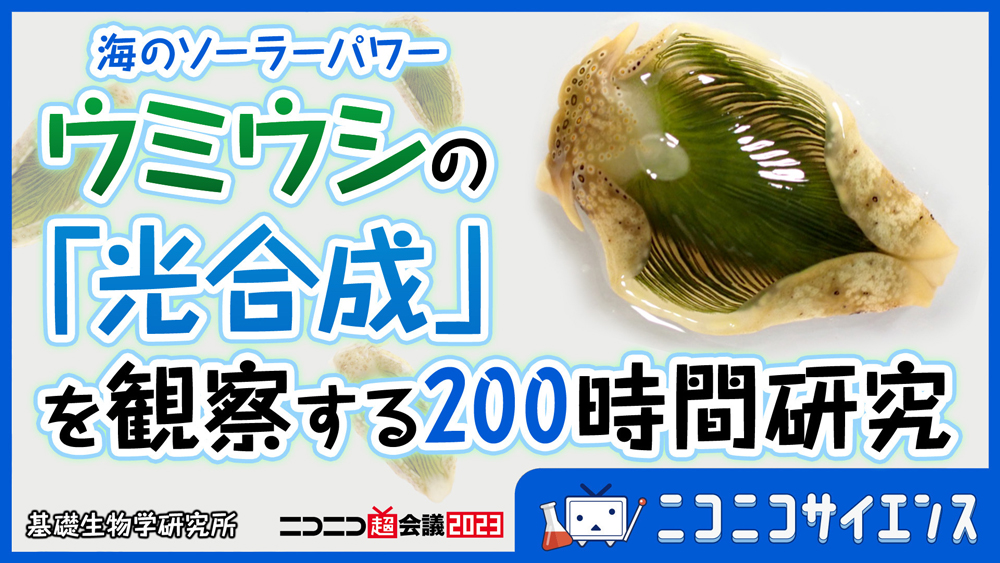 海のソーラーパワー・ウミウシの「光合成」を観察する200時間研究～究極のSDGs～@ニコニコ超会議2023