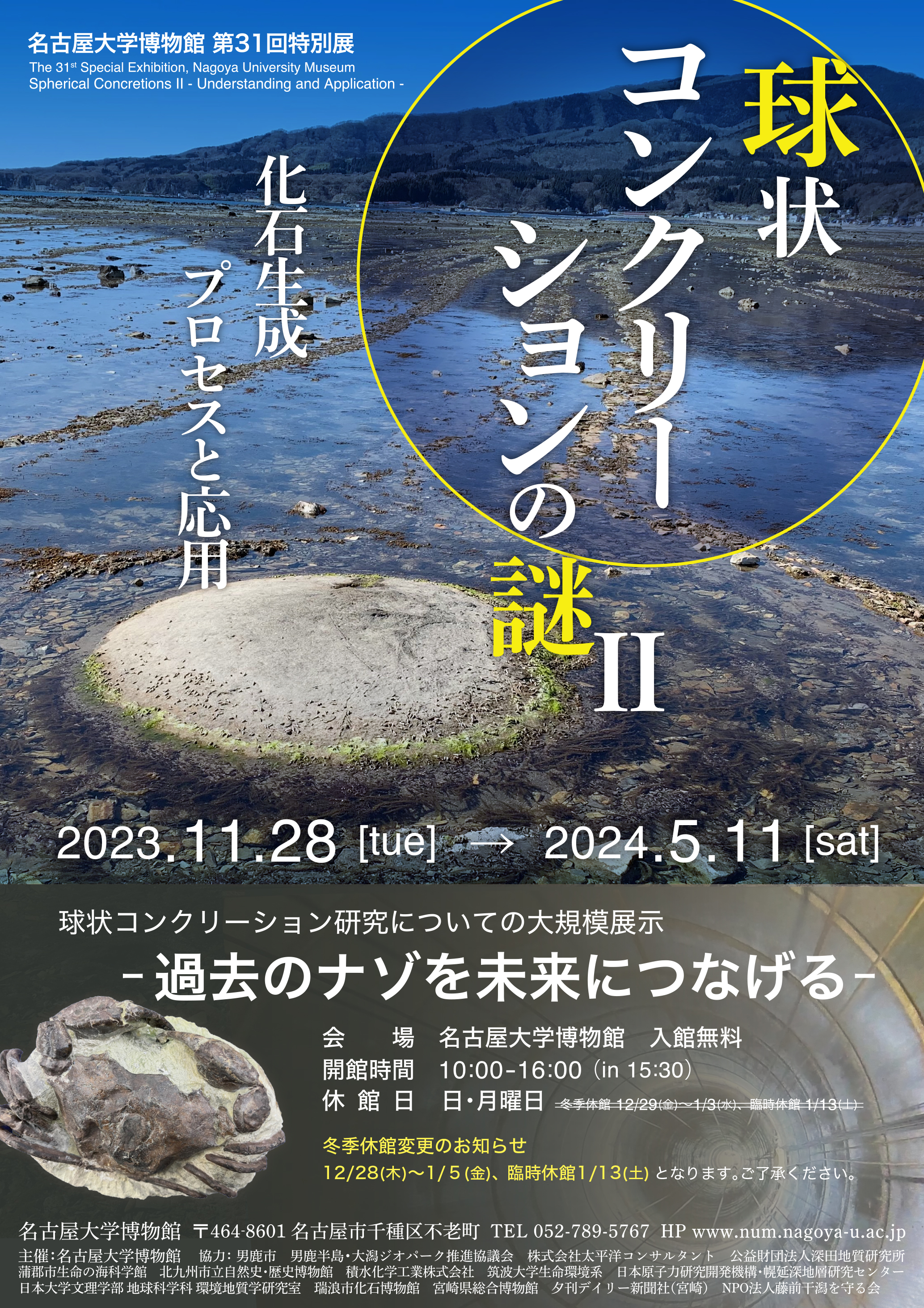 名古屋大学博物館第31回特別展 　球状コンクリーションの謎Ⅱ 化石生成プロセスと応用
