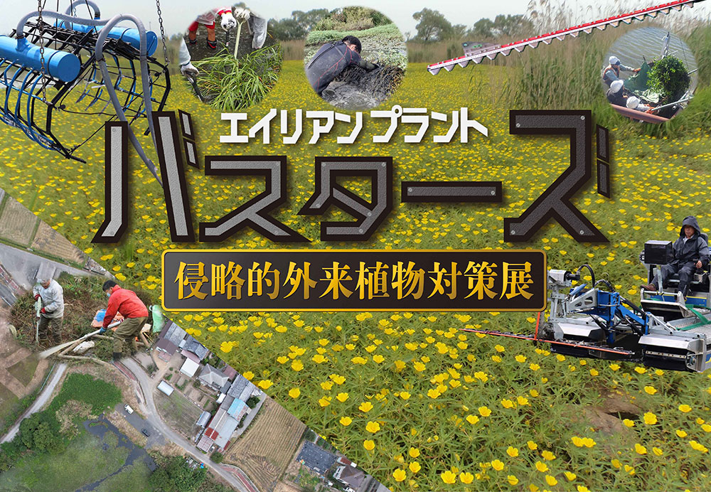 2025年度 特別企画「エイリアンプラント・バスターズ　侵略的外来植物対策展」