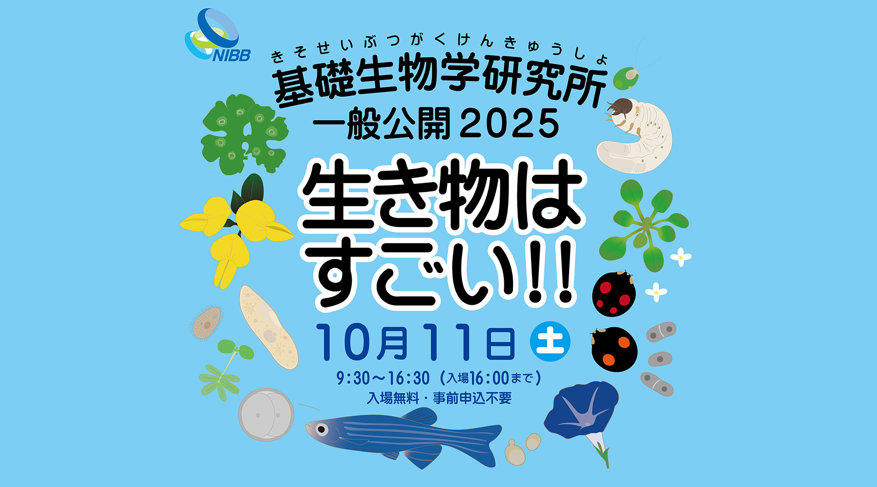 基礎生物学研究所 一般公開 2025 「生き物はすごい!!」