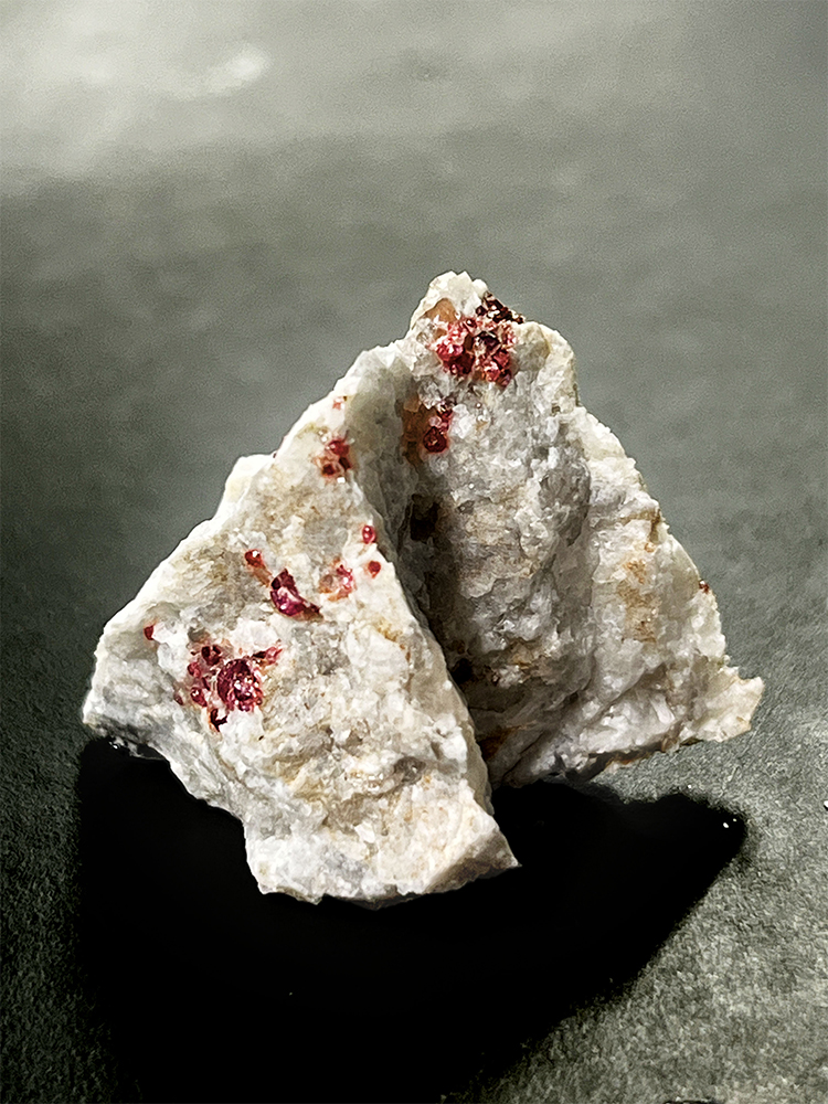 ジュニア学芸員育成プロジェクト2025（1） 惑星探査にチャレンジ！