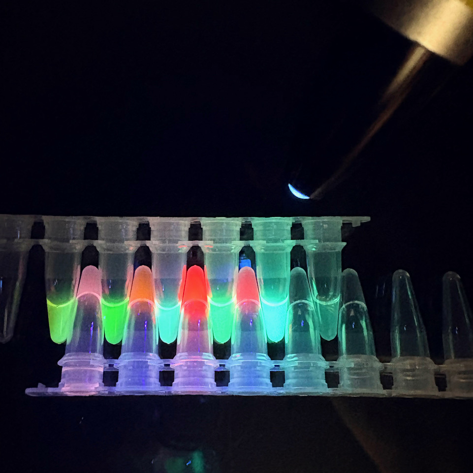 名古屋大学出前授業「光る！透ける？花のなかをのぞいてみよう」