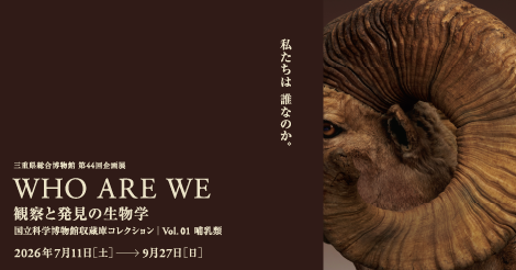 WHO ARE WE展ワークショップ「どんな形？角をくらべてみよう」