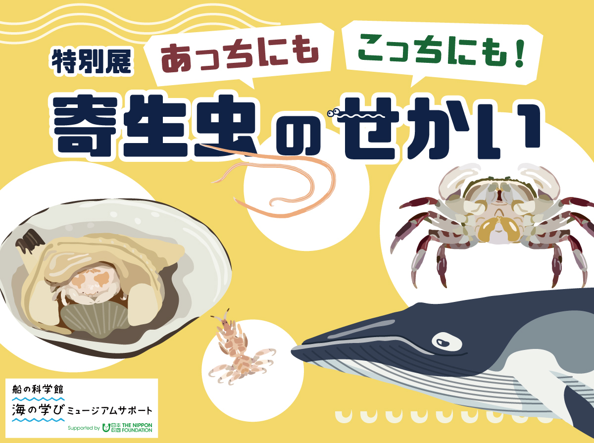 特別展「あっちにもこっちにも！寄生虫のせかい」