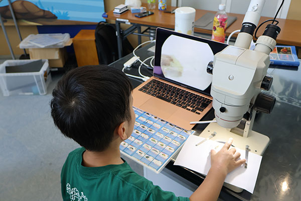 夏だ！ワクワク科学館まつり2026　【ブース出展】～ちりめんじゃこから海の生き物をさがそう！～