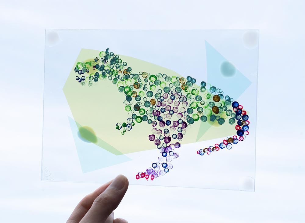 みんなでやろうよ！展示リニューアルプロジェクト「つぶ」で、生き物の絵をえがこう
