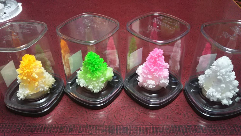 観て触れて、科学と親しもう！＃　世界に一つのクリスマスツリーをつくります！