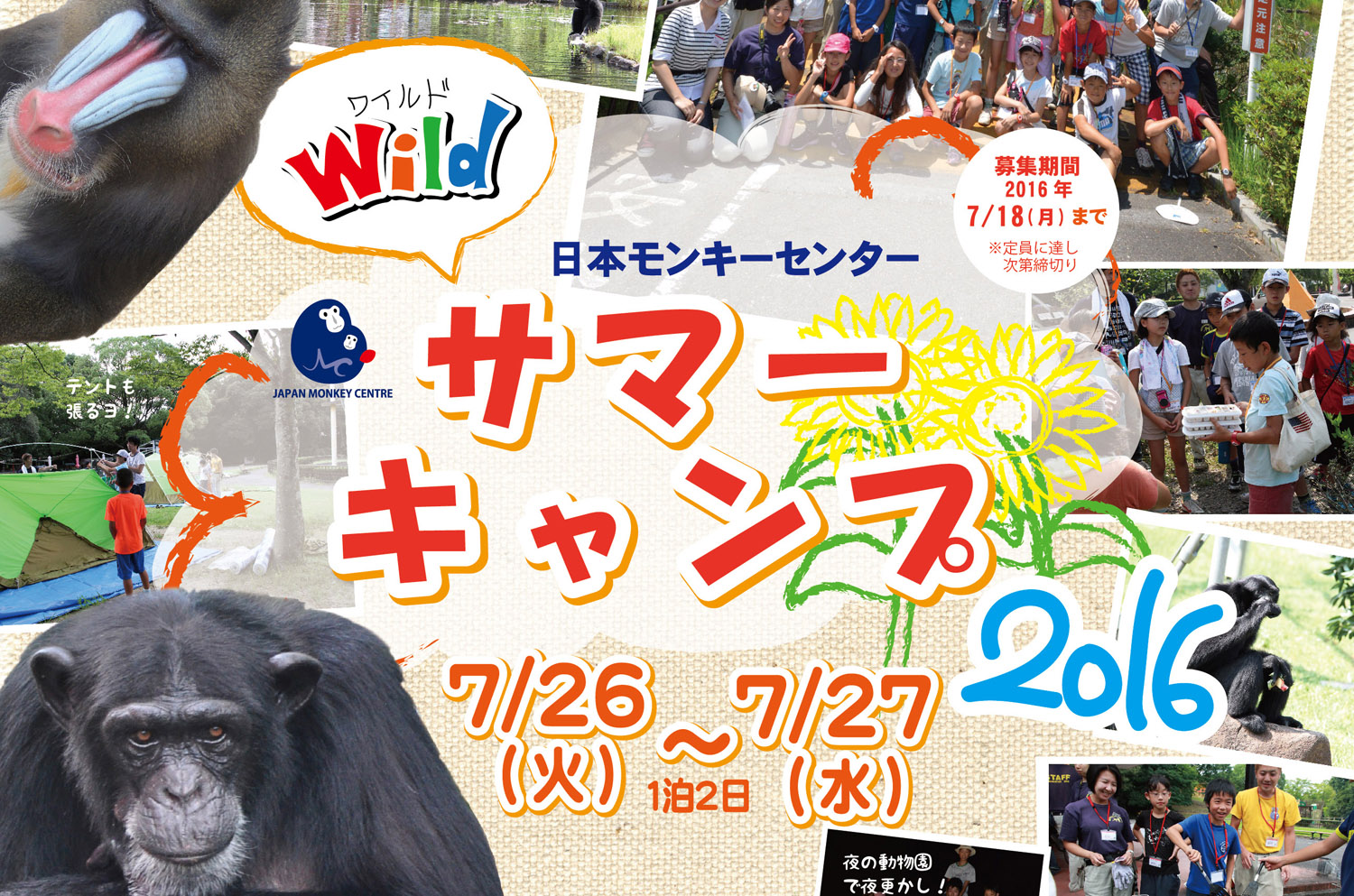日本モンキーセンター　ワイルドサマーキャンプ2016