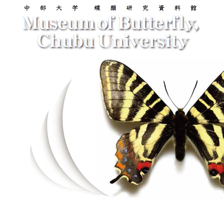 中部大学蝶類研究資料館　2階展示室一般公開