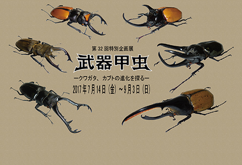 特別企画展 記念講演会　性決定遺伝子で探る甲虫の武器