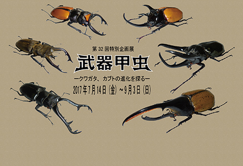 特別企画展　武器甲虫－クワガタ、カブトの進化を探る－