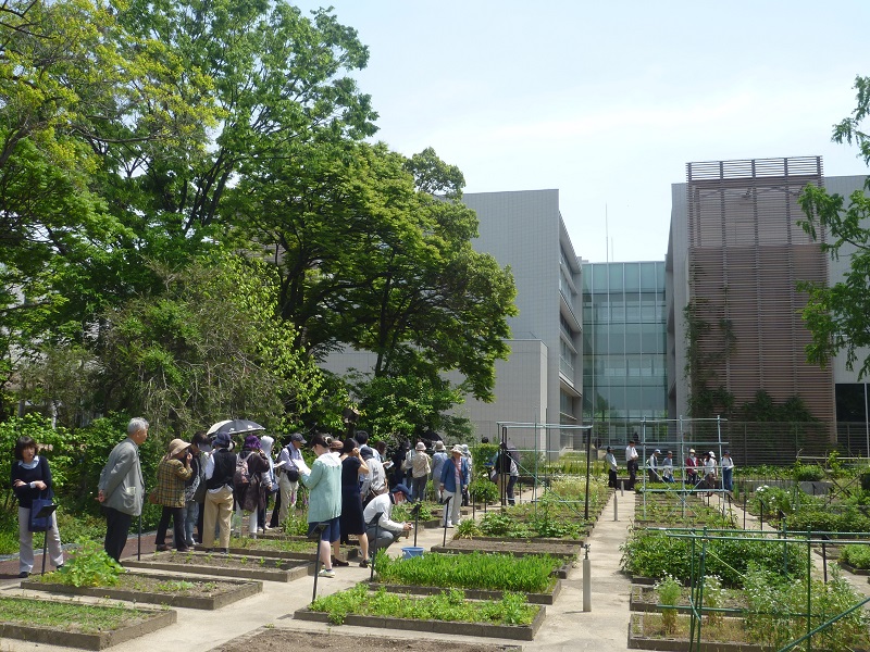 薬用植物園市民公開